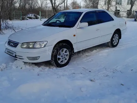 Toyota Camry Gracia 2000 года за 5 300 000 тг. в Усть-Каменогорск