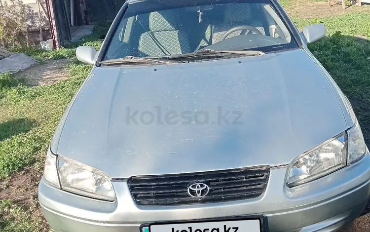 Toyota Camry 2001 годаүшін3 600 000 тг. в Павлодар