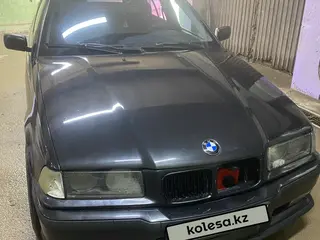BMW 316