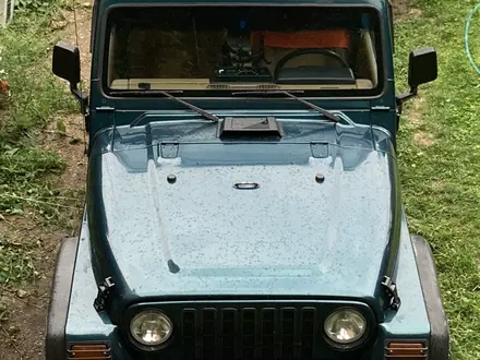 Jeep Wrangler 1998 года за 7 500 000 тг. в Алматы – фото 10