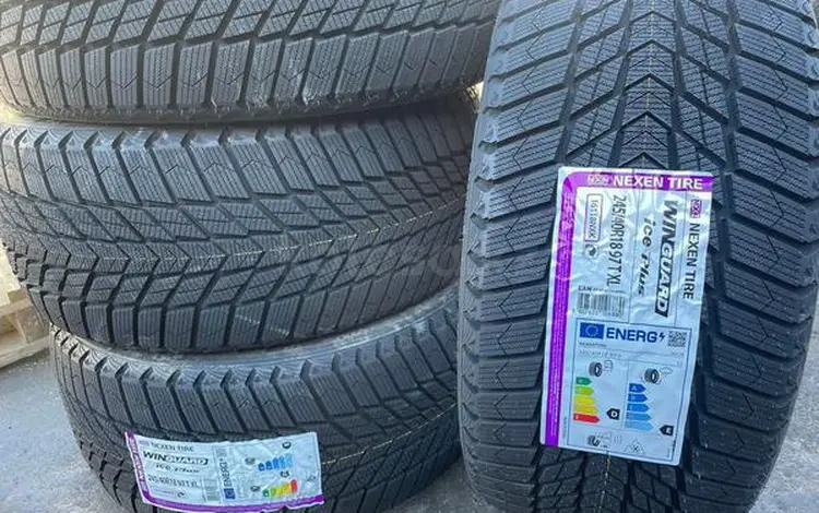 245/40R18 Nexen Win Ice Plus за 250 000 тг. в Алматы