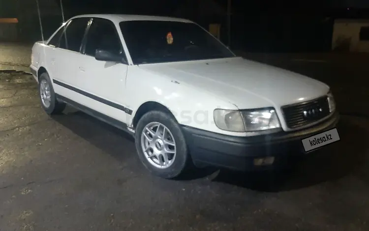 Audi 100 1992 годаүшін1 500 000 тг. в Талдыкорган