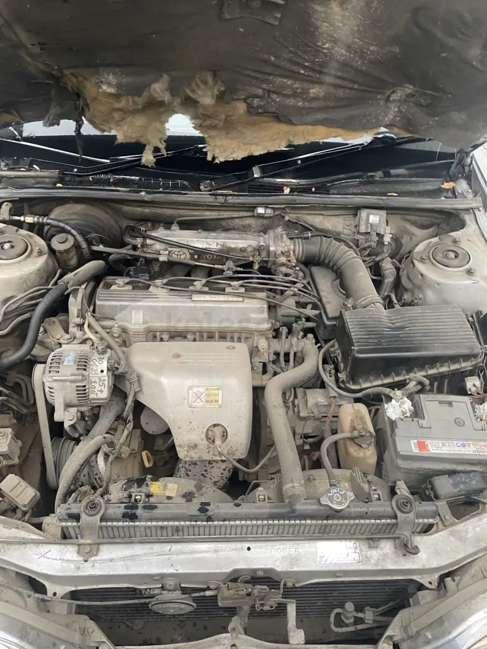 Toyota Vista, 1994