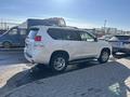 Toyota Land Cruiser Prado 2009 годаfor17 000 000 тг. в Астана – фото 3