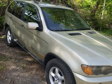 BMW X5 2001 года за 3 700 000 тг. в Алматы – фото 5