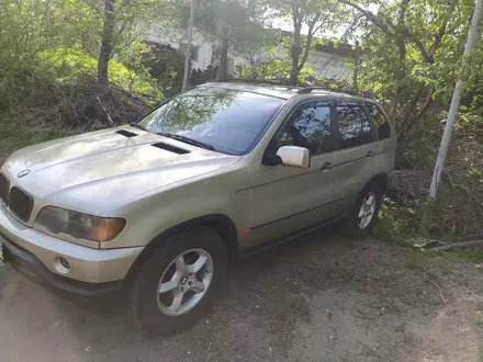BMW X5 2001 года за 3 700 000 тг. в Алматы