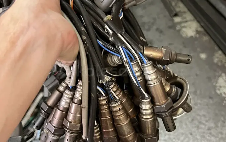 Лямбда зонд за 20 000 тг. в Алматы