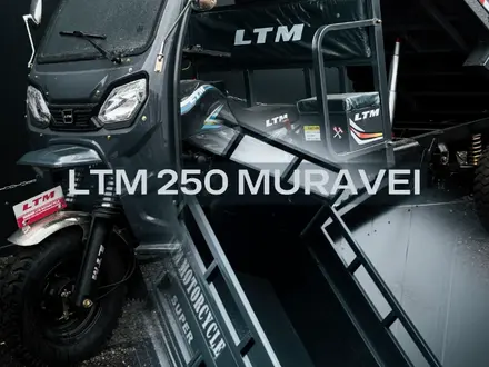 LTM  LTM LT250-ZH Алматы 2026 года за 1 280 000 тг. в Алматы – фото 14