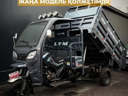 LTM  LTM LT250-ZH Алматы 2026 года за 1 280 000 тг. в Алматы – фото 13