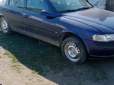 Opel Vectra 1997 года за 800 000 тг. в Степногорск – фото 6
