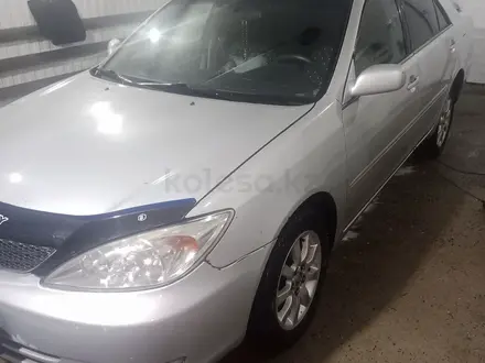 Toyota Camry 2002 годаүшін3 900 000 тг. в Караганда