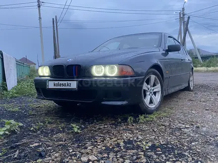 BMW 528 1996 года за 2 600 000 тг. в Кокшетау