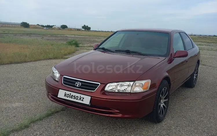 Toyota Camry 2001 годаүшін3 800 000 тг. в Талдыкорган