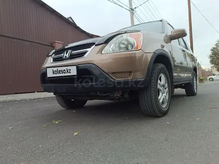 Honda CR-V 2002 года за 4 650 000 тг. в Талдыкорган – фото 7