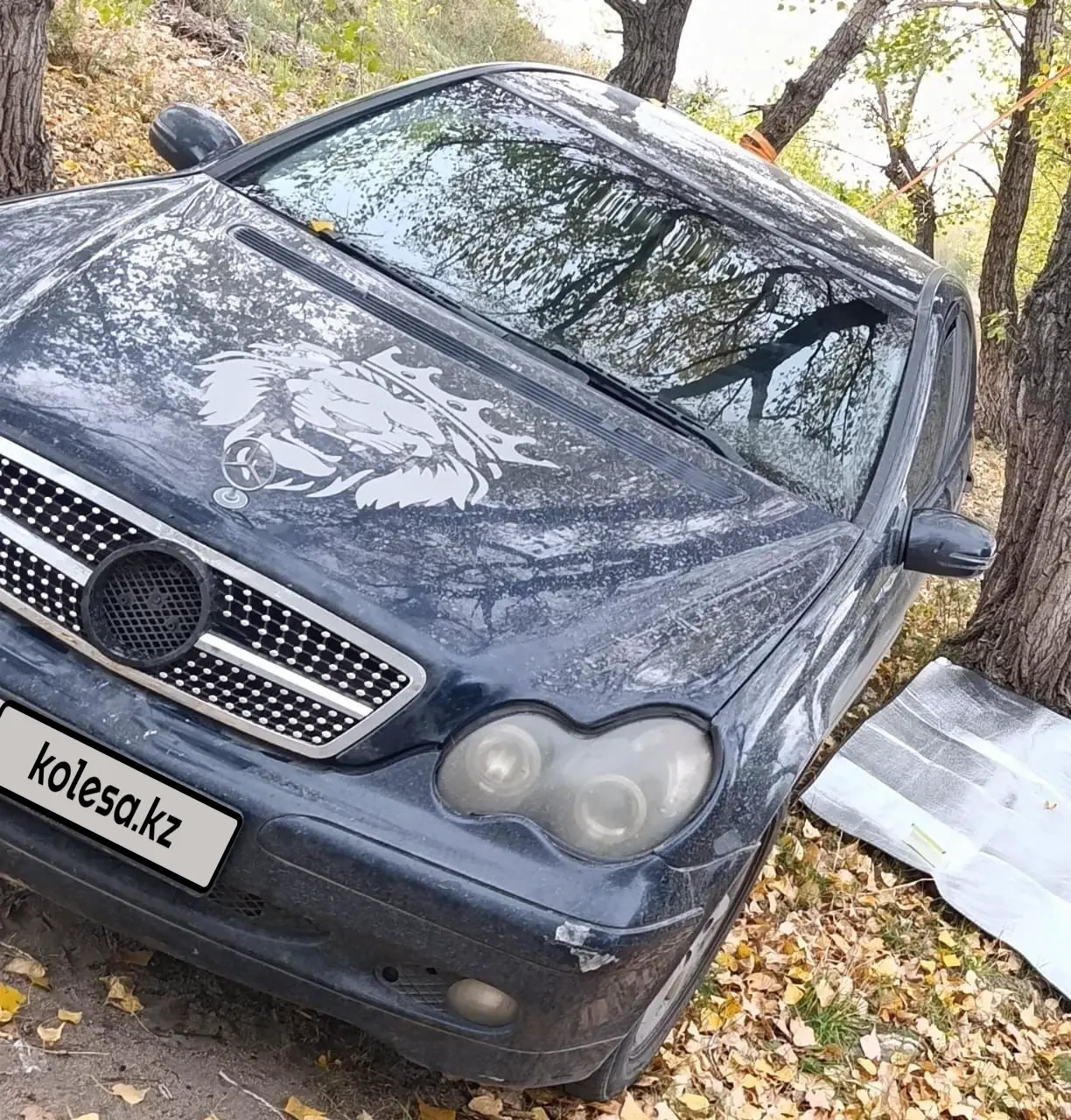 Mercedes-Benz C-Class, 2003