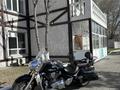 Kawasaki  VN2000 Vulcan 2005 года за 6 700 000 тг. в Экибастуз – фото 9