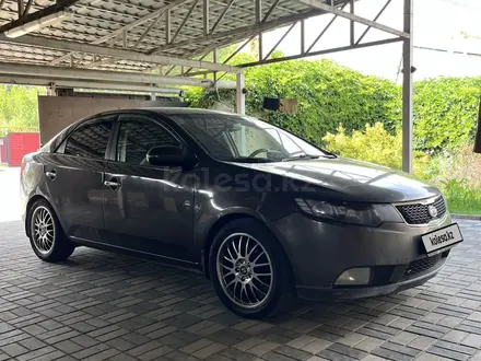 Kia Cerato 2012 года за 4 100 000 тг. в Алматы – фото 2