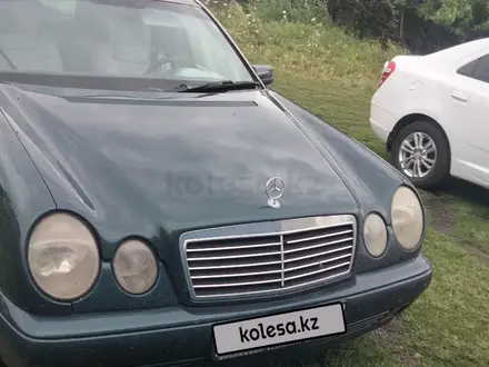 Mercedes-Benz E 200 1997 года за 3 200 000 тг. в Петропавловск – фото 3