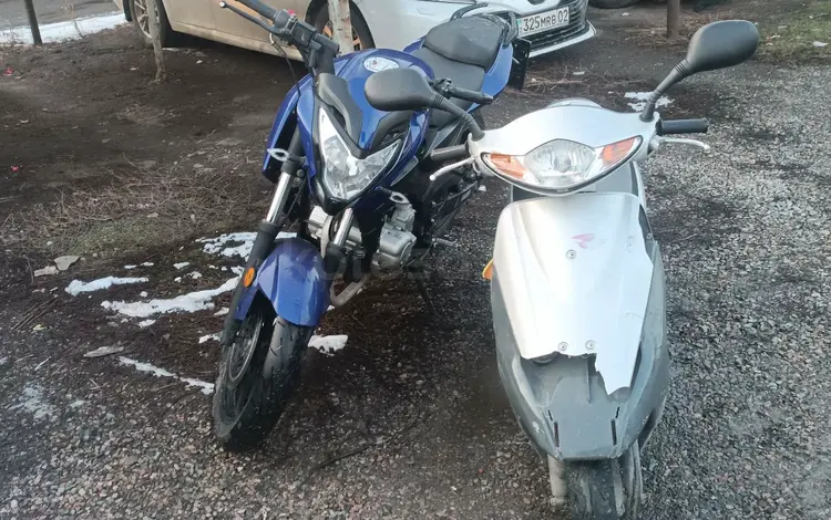 Honda  Dio 2009 годаfor160 000 тг. в Алматы