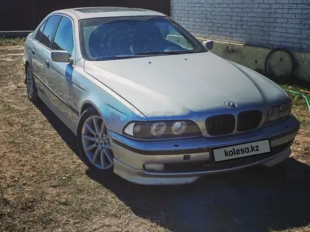 BMW 523 1998 года за 2 400 000 тг. в Алматы – фото 2