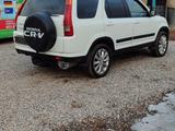 Honda CR-V 2002 года за 4 500 000 тг. в Алматы – фото 3