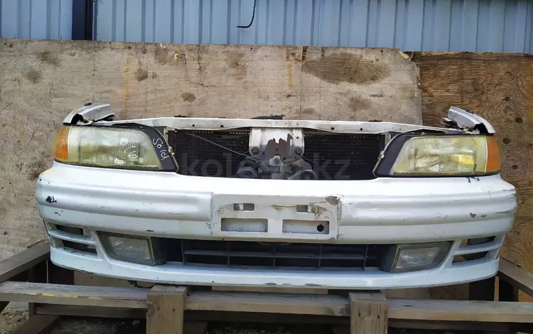 Цефиро Cefiro ноускат за 250 000 тг. в Алматы