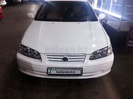 Toyota Camry 2000 года за 3 300 000 тг. в Тараз