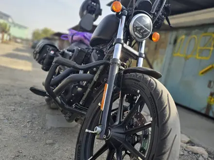 Harley-Davidson  Sportster 883 2017 года за 5 800 000 тг. в Алматы