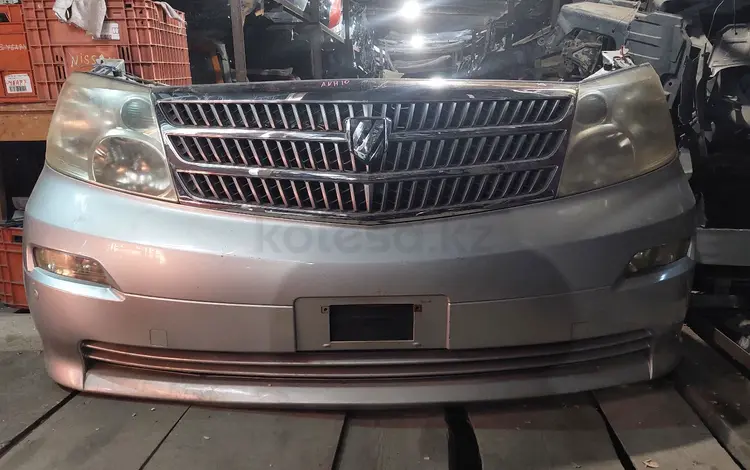 Ноускат за 250 000 тг. в Алматы