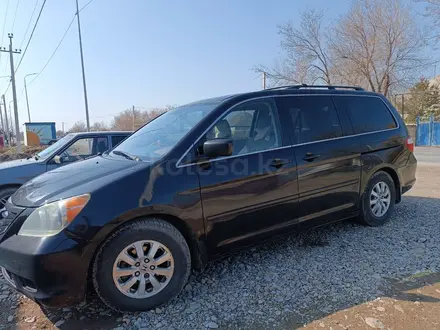 Honda Odyssey 2008 года за 8 000 000 тг. в Шымкент