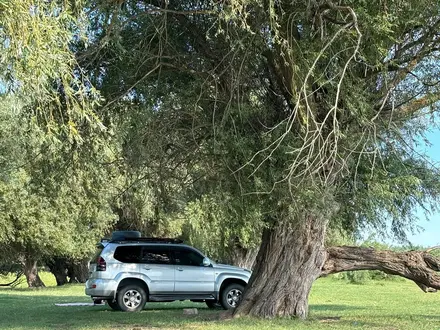 Toyota Land Cruiser Prado 2007 года за 12 000 000 тг. в Жанаозен – фото 23