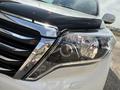 Toyota Land Cruiser Prado 2014 годаүшін16 800 000 тг. в Шымкент – фото 13