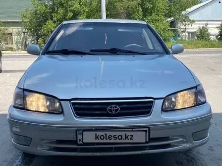 Toyota Camry 2001 года за 3 350 000 тг. в Шымкент
