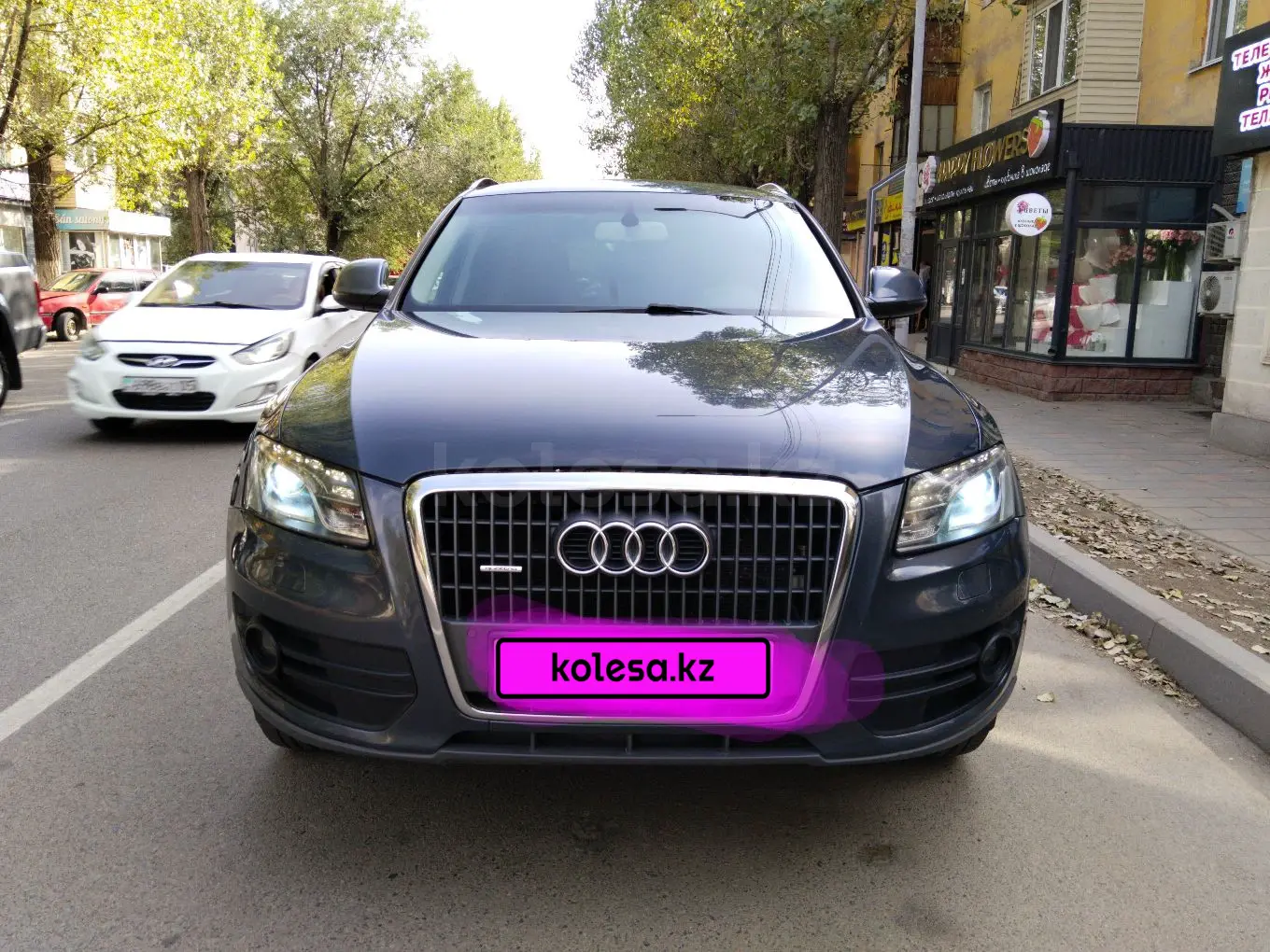 Audi Q5, 2010