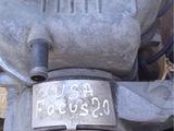 Двигатель 2.0см в навесе Форд Фокус (Split Port) привозной за 4 455 тг. в Алматы – фото 3