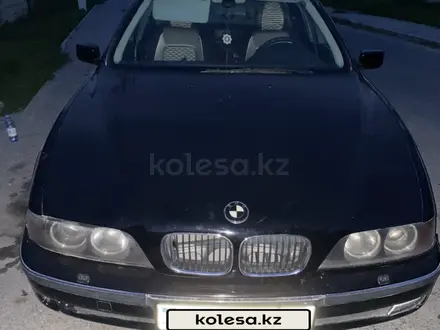 BMW 523 1996 года за 2 350 000 тг. в Шымкент – фото 2