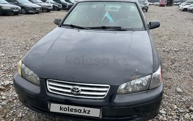 Toyota Camry 2001 года за 2 028 600 тг. в Алматы