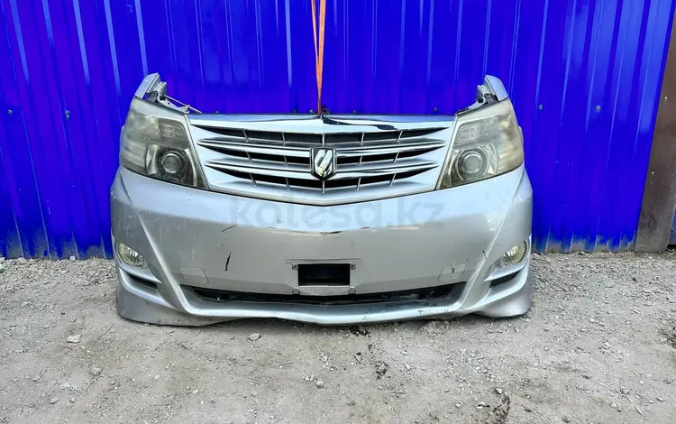Ноускат, мини морда, морда на Toyota Alphard за 200 000 тг. в Алматы