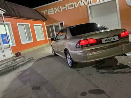 Honda Accord 2002 года за 2 100 000 тг. в Житикара – фото 3