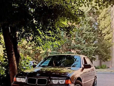 BMW 318 1992 года за 1 200 000 тг. в Усть-Каменогорск – фото 21