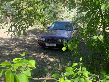 BMW 520 1991 года за 1 600 000 тг. в Семей – фото 3