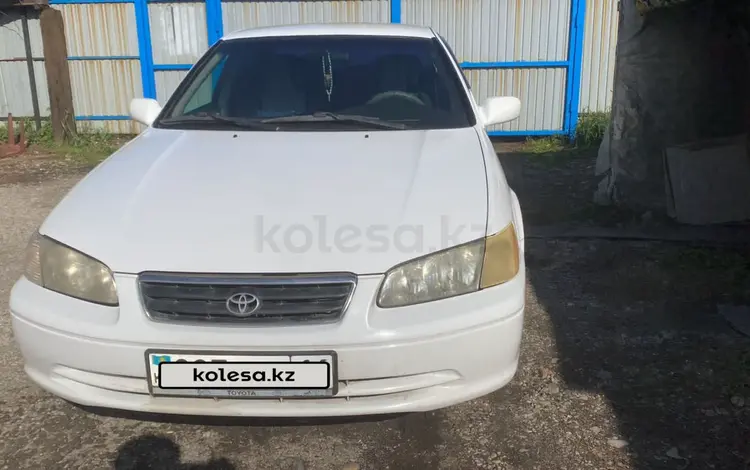 Toyota Camry 2001 года за 3 550 000 тг. в Усть-Каменогорск
