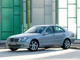 Стёкла фар Mercedes-Benz C w203 (2004-2007) за 18 700 тг. в Алматы – фото 2