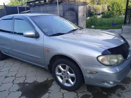 Nissan Maxima 2005 года за 2 700 000 тг. в Алматы – фото 10
