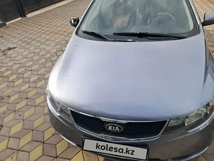 Kia Cerato 2010 года за 3 600 000 тг. в Алматы – фото 6