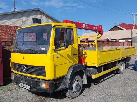 Mercedes-Benz  817 1991 года за 11 700 000 тг. в Павлодар