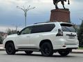 Toyota Land Cruiser Prado 2020 годаfor35 000 000 тг. в Шымкент – фото 3