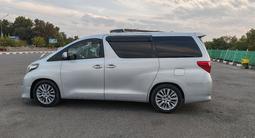 Toyota Alphard 2010 года за 10 000 000 тг. в Сарыагаш – фото 4