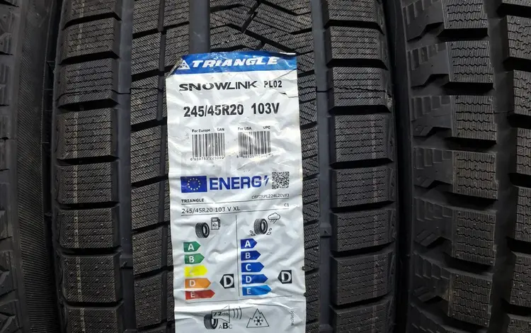 Triangle Snowlink PL02 за 50 000 тг. в Астана