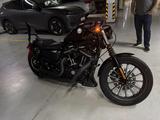 Harley-Davidson  Sportster 883 2014 года за 5 000 000 тг. в Астана – фото 5